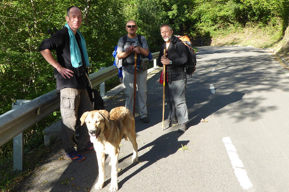 8 Camino Routes with a Walking Trailer-image