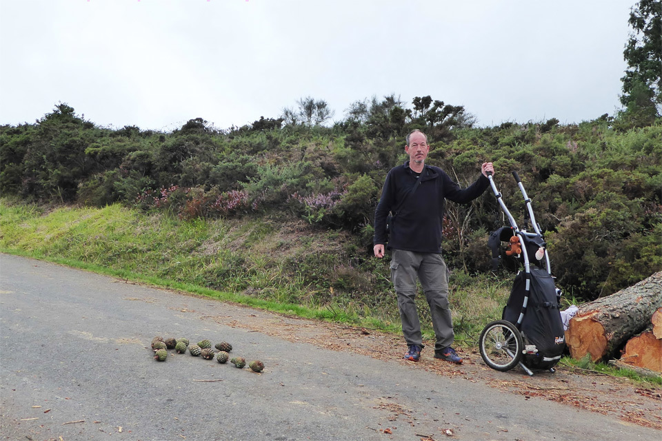 8 Camino Routes with a Walking Trailer-image